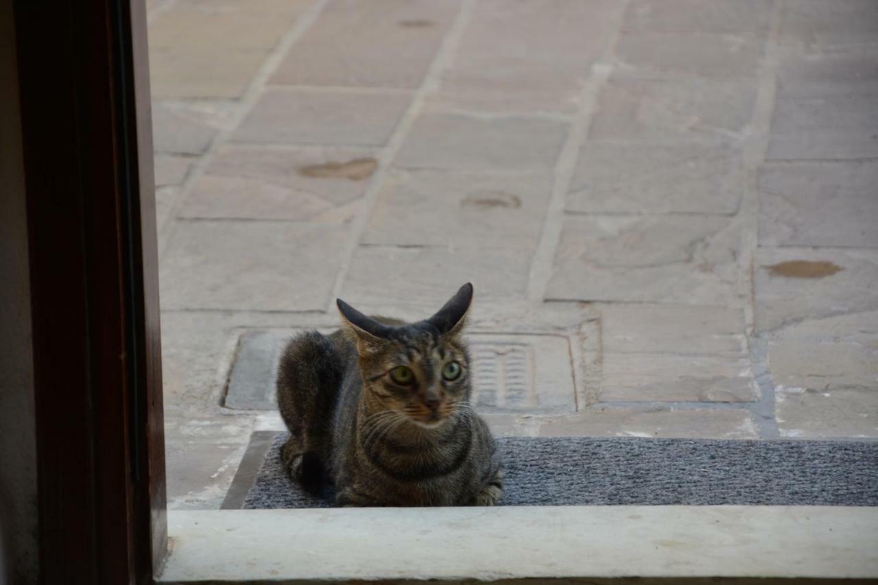 הוילה חאניה Calle Veneziana מראה חיצוני תמונה